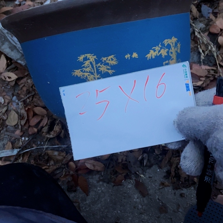 紫砂花盆111111111