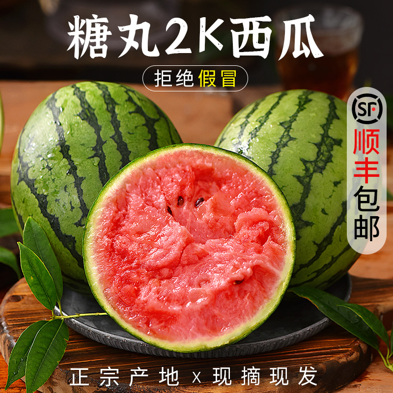 手剥皮小西瓜2K小糖丸西瓜新鲜水果薄皮红肉脆甜手撕西瓜甜瓜整箱