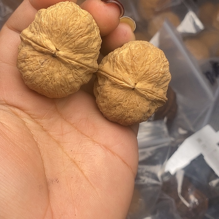 吊坠文玩核桃75号39mm