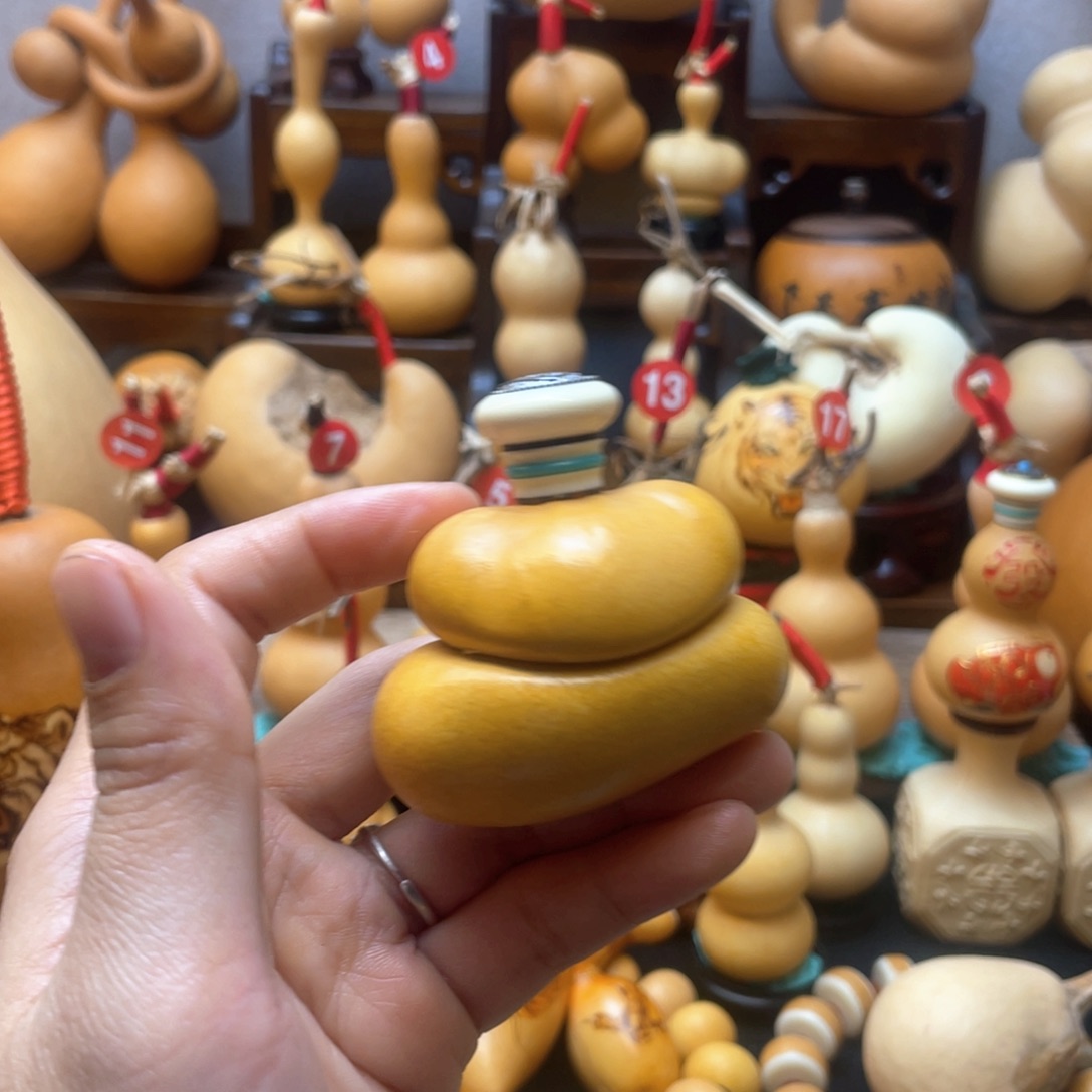 ?****哥大自然的秘密第十一节你