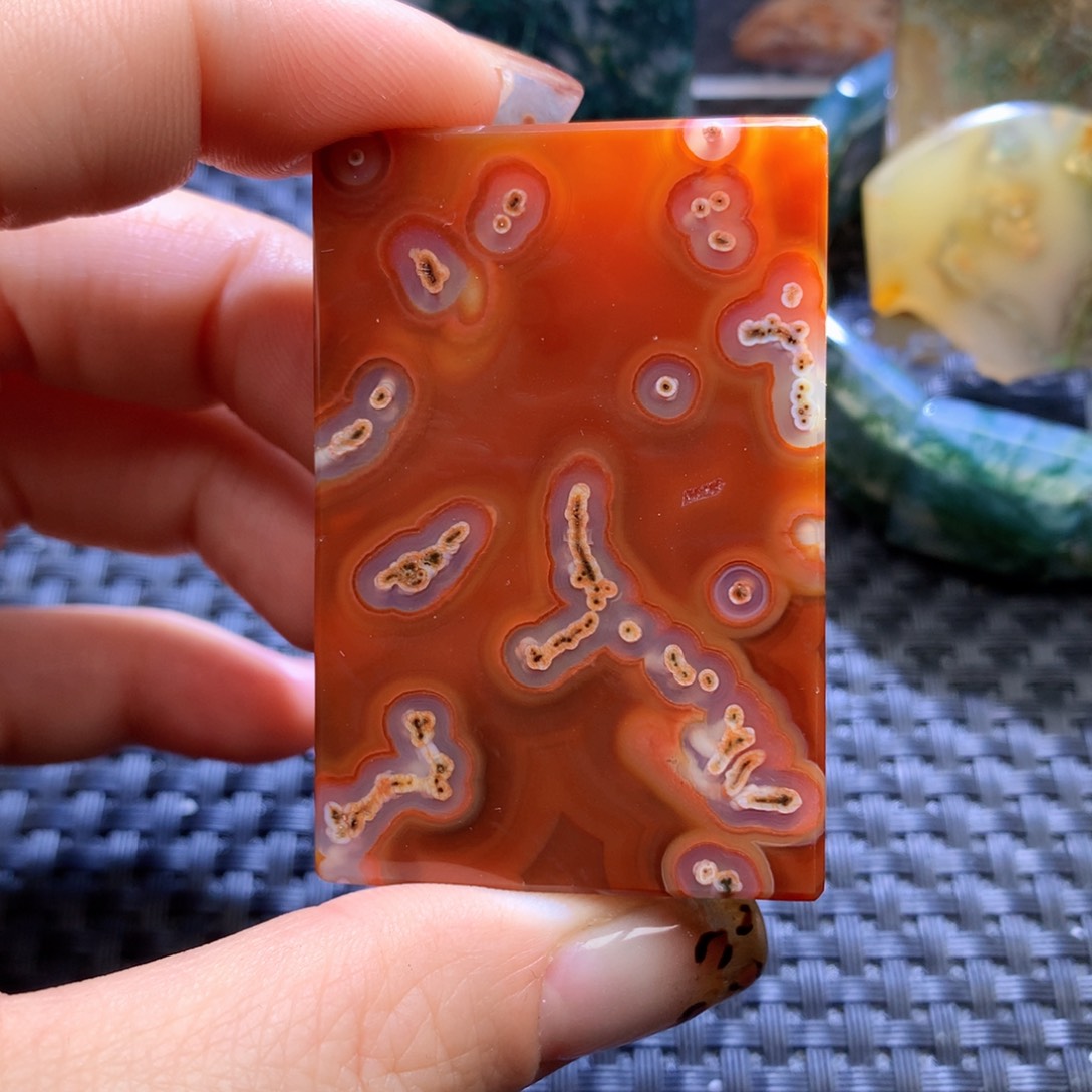 未镶嵌颈饰玛瑙/玉髓蝶*