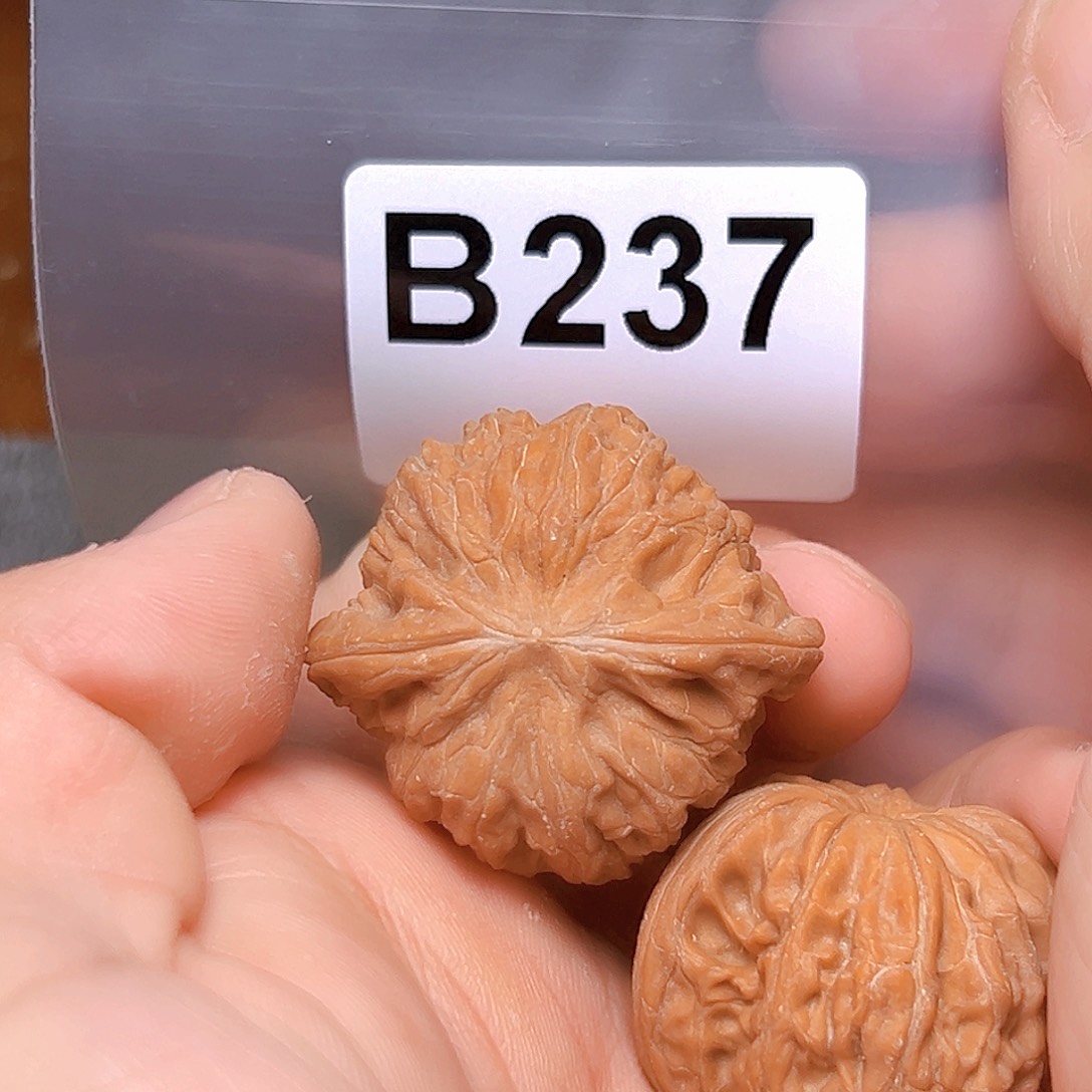 文玩核桃吊坠36磨盘。 有黄