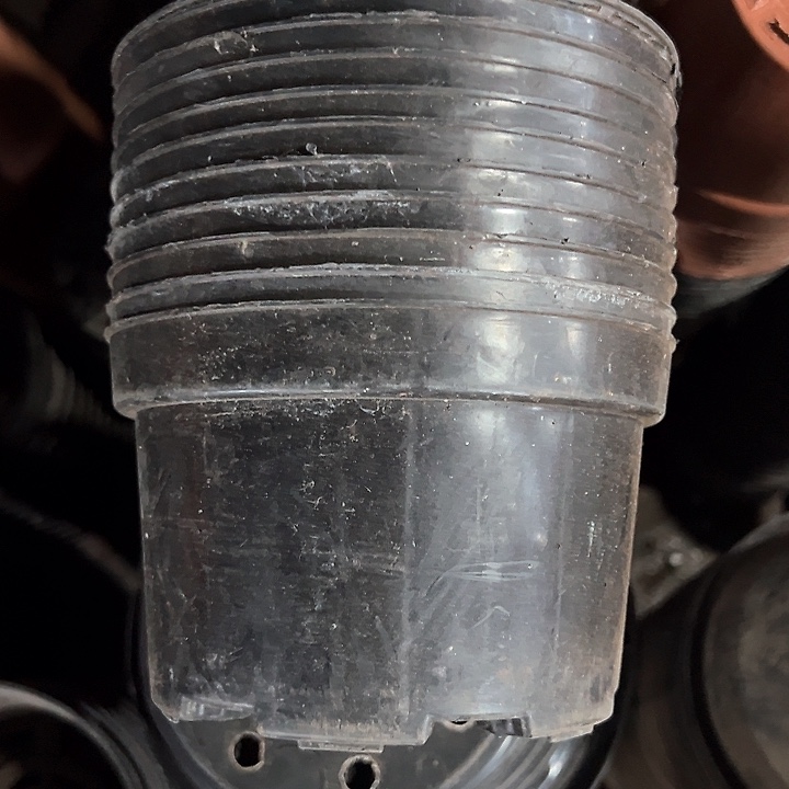 塑料口径15 高度9.5 黑矮胖一组45个