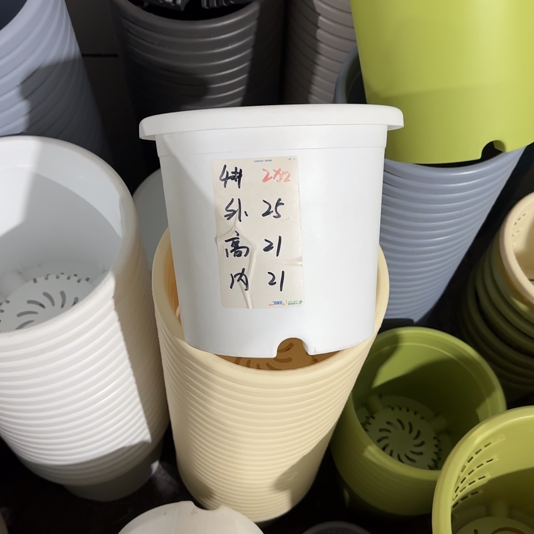 微瑕4号5个无托，白色