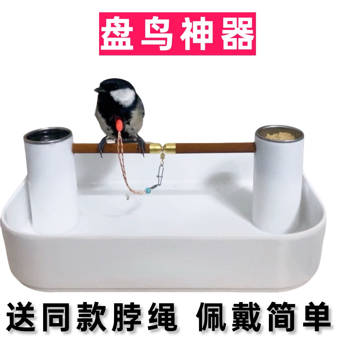 小型鸟站架绣眼贝子柳莺黄雀太阳鸟等小型鸟小鸟站架栓鸟架全套