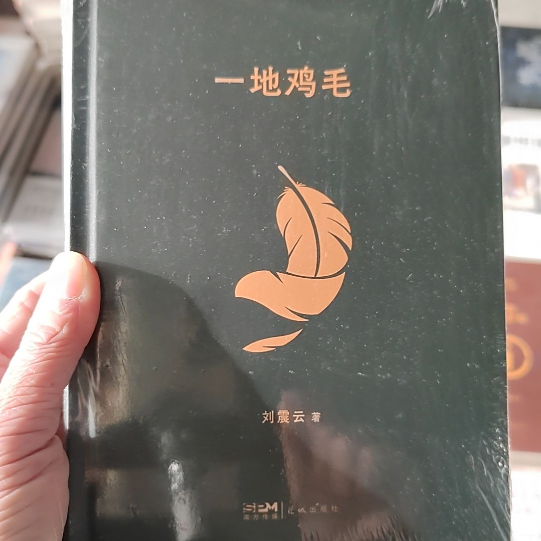 一地鸡毛         