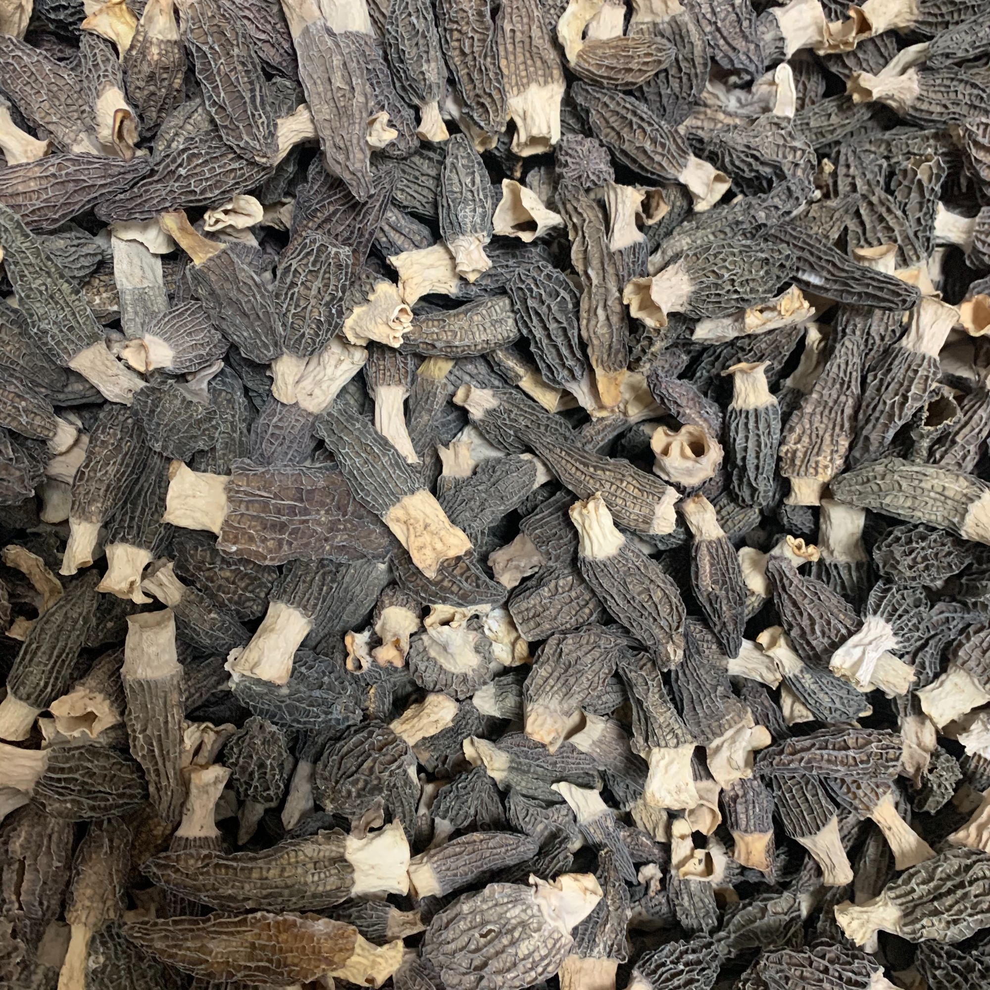 干货羊肚菌 福利款 2-4厘米 厚肉六妹