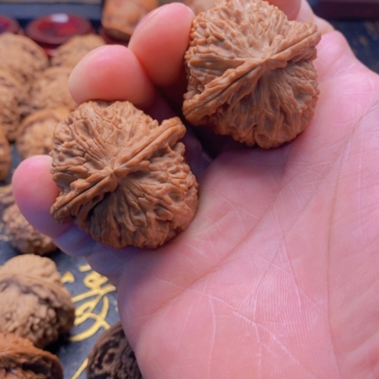 ໑****文玩白狮子头全品42尺寸