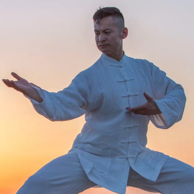 沙学周《陈式太极拳老架一路》精讲版