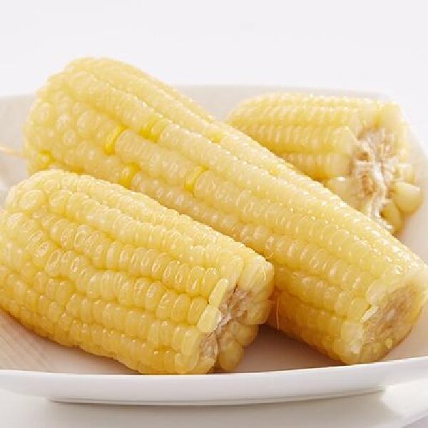 东北甜糯玉米9.9五根白糯玉米黑龙江省