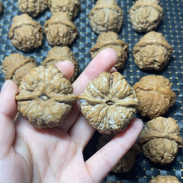 核桃其他珦*葵蛤蟆头。40