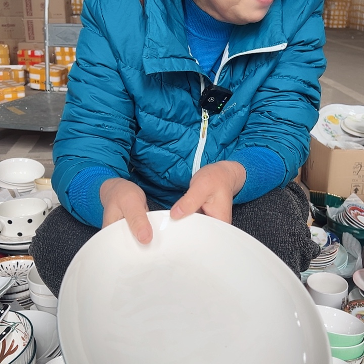 陶瓷工艺餐具绿釉鱼盘1只