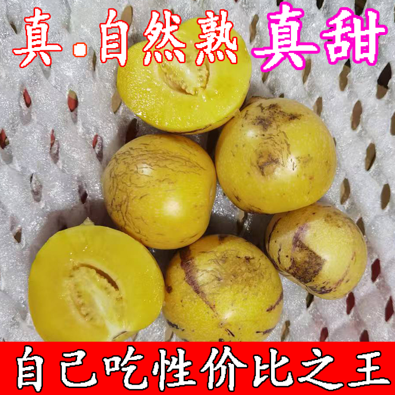 【真自然熟、真甜、自己吃首选】云南石林人参果圆果全熟全甜果