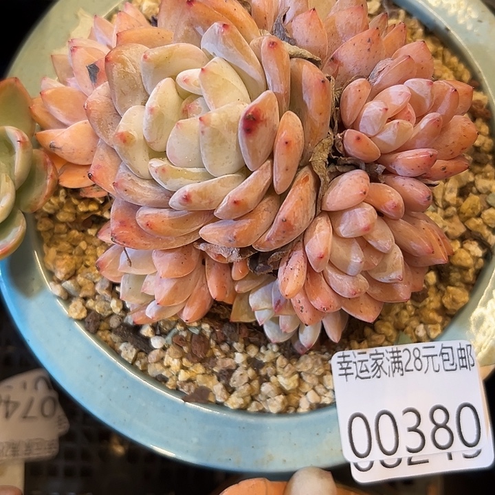 幸运的是我还没遇到过