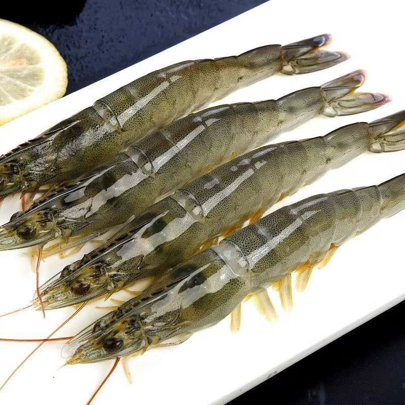 【大大号海洋虾】新鲜活虾速冻  锁鲜  肉质紧实  5斤