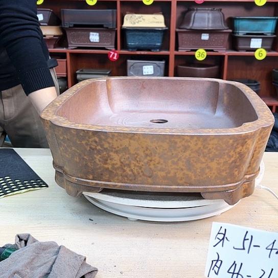 红陶些*景紫砂花盆里放了几