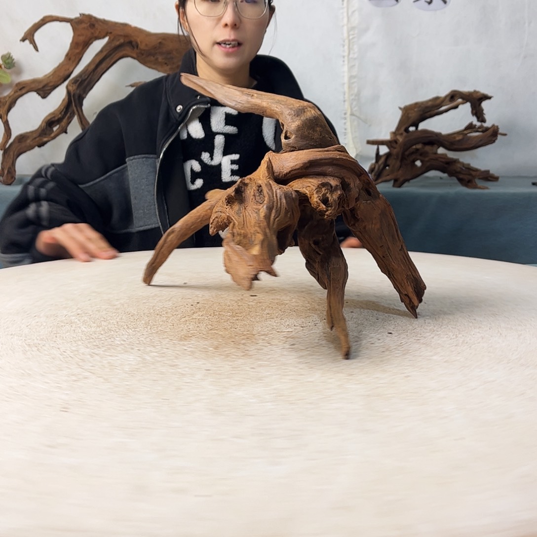 沉木造景爬宠造景