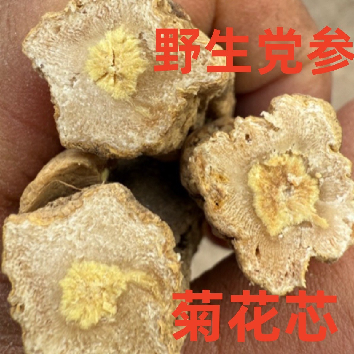 《野党参》甘肃野山挖野生党参新货无硫磺精选修头取尾精品