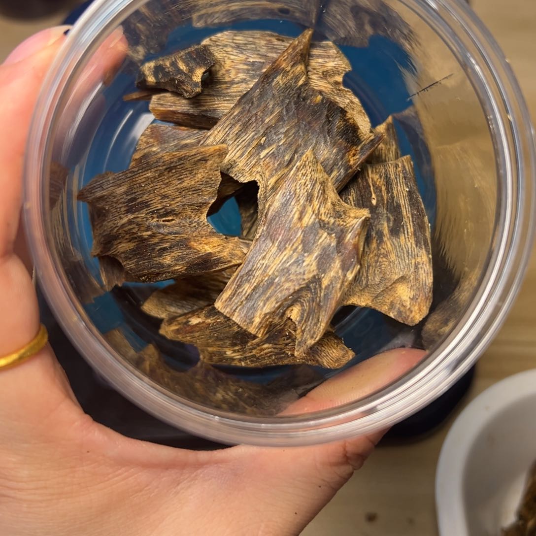 树脂制品A**n海南老料老白棋高端瓜子料51克