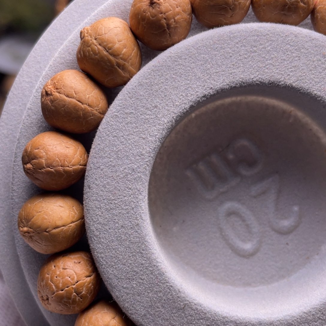 凤眼菩提吊坠菩提302