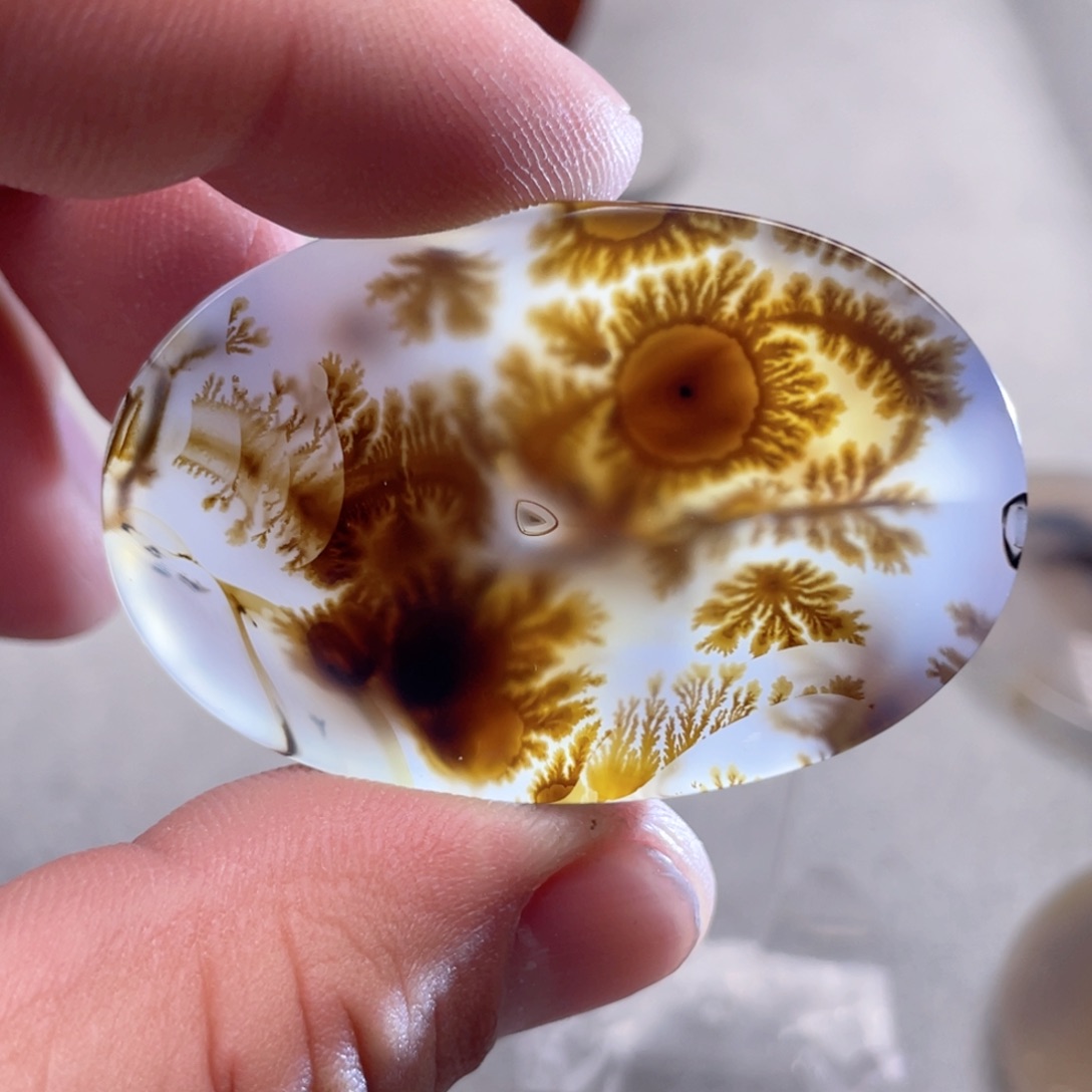 【闪购商品】玛瑙/玉髓颈饰合金