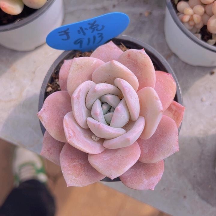 健健康康平平安安