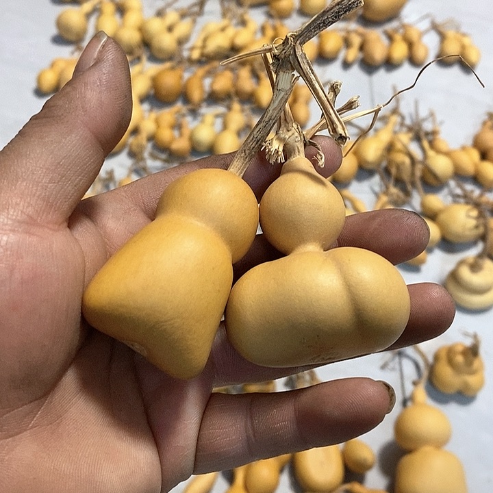 葫芦手把件小钱袋葫芦