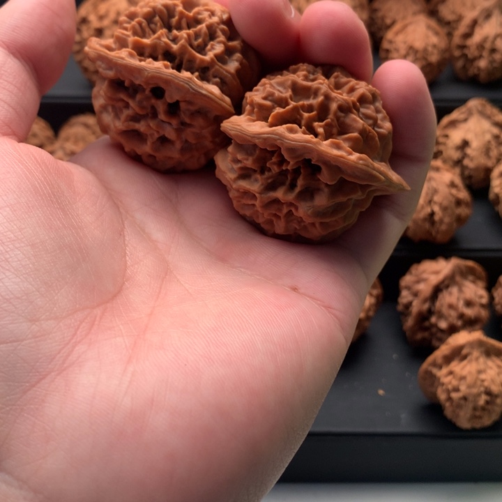 其他核桃老**你秦岭的一