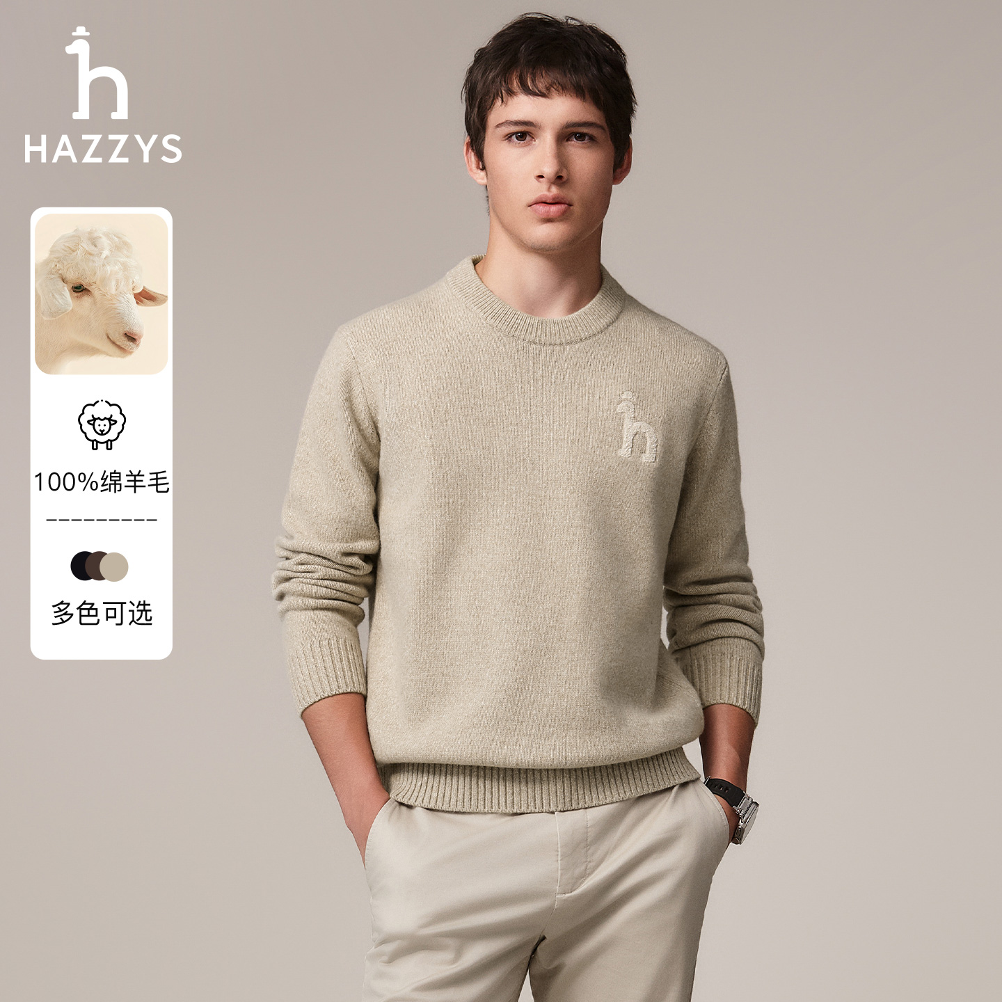 HAZZYS哈吉斯秋冬季男士羊毛衫时尚休闲老钱风针织衫轻奢套头毛衣