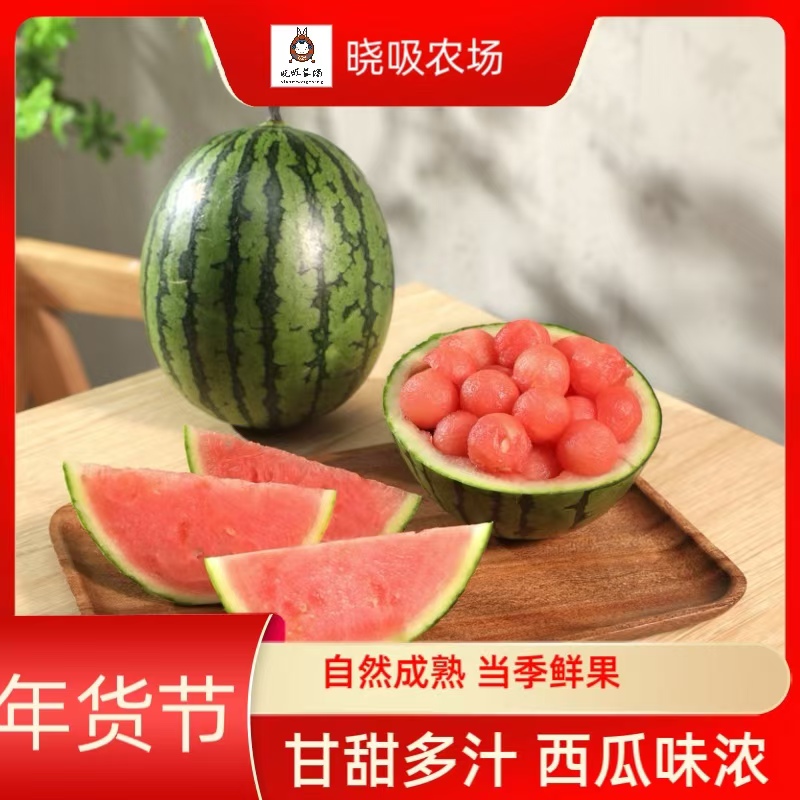 小西瓜粉色瓤口原苗种植2个装1.5斤起源头直发