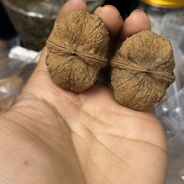 核桃云南铁核桃基地47