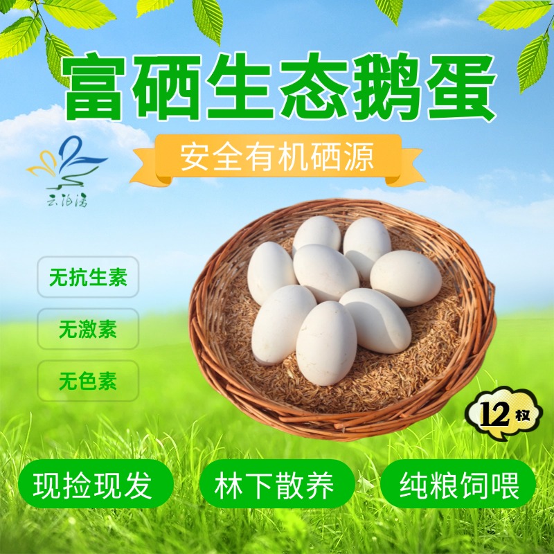云泊湾富硒生态散养土鹅蛋12枚无抗无激纯粮饲养新鲜现捡吃着放心