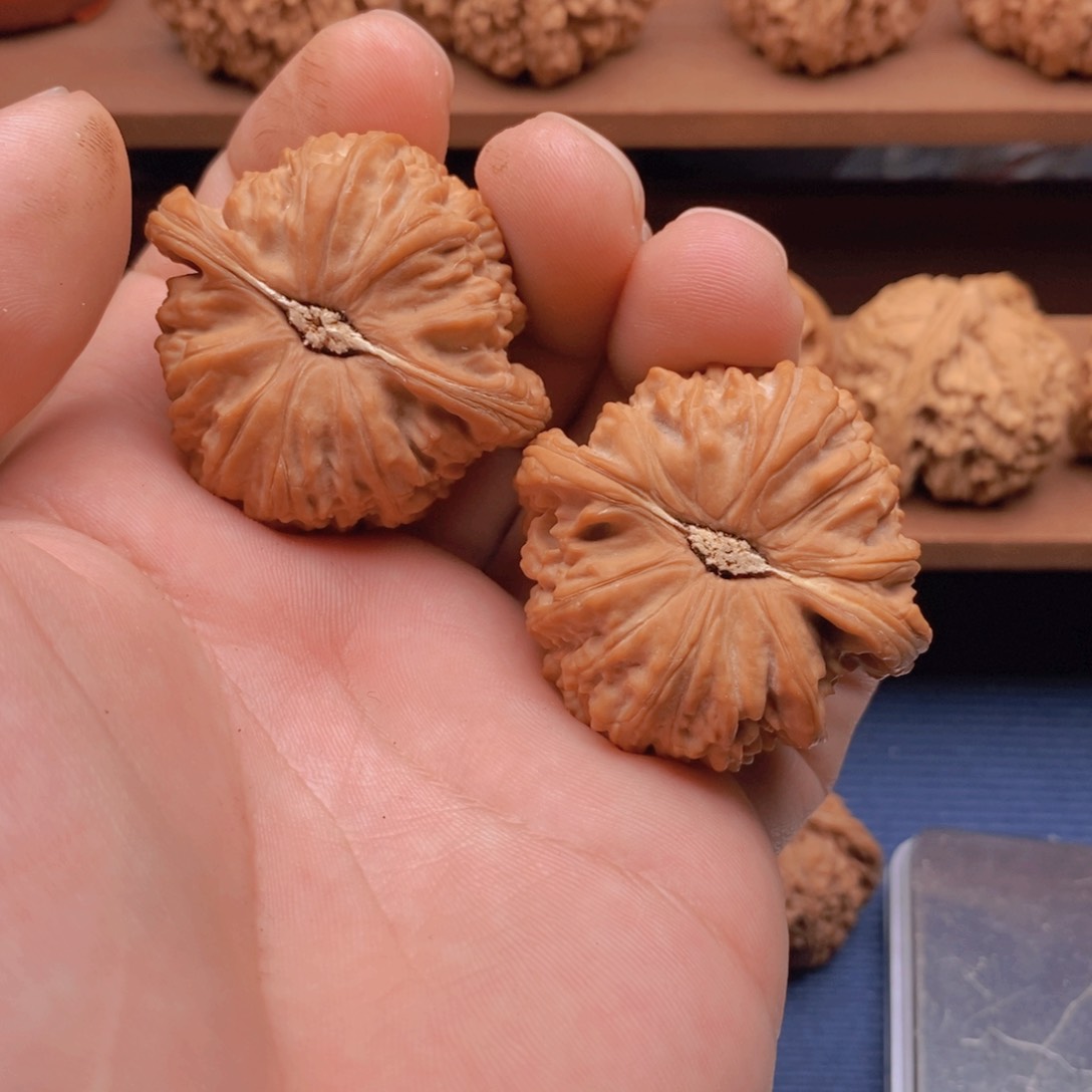 文玩核桃把件墨**晖白狮子