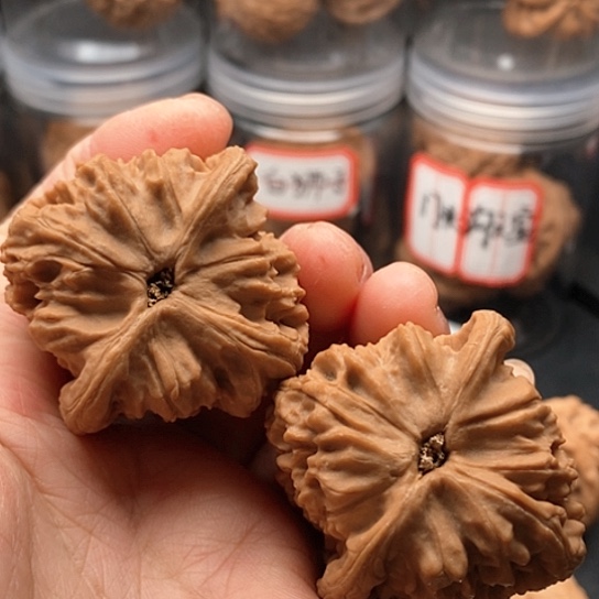 文玩核桃把件红狮子