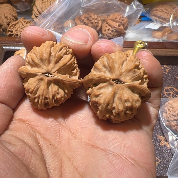 止***帷核桃全品无修赤龙鸡心