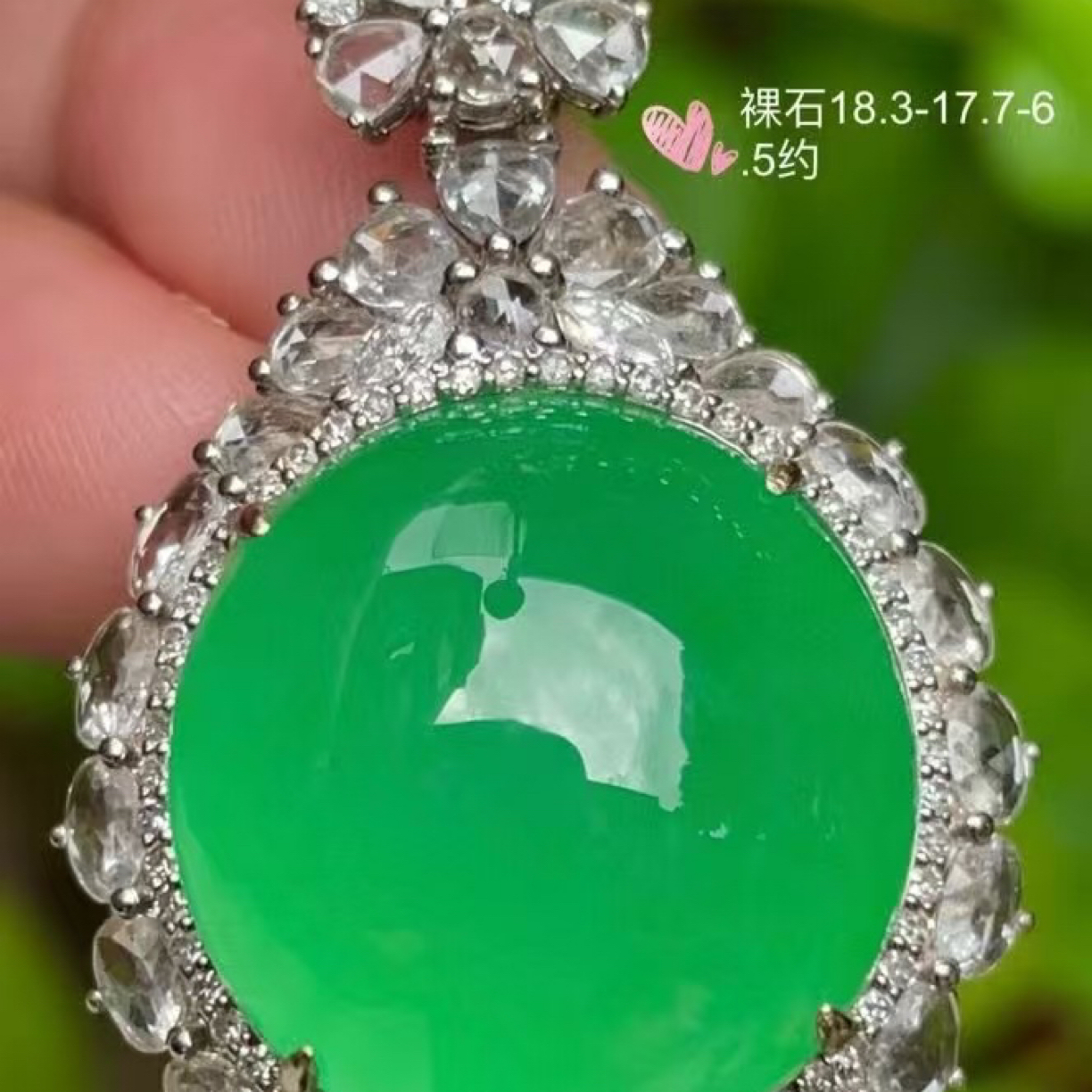 高冰正阳绿，大蛋】