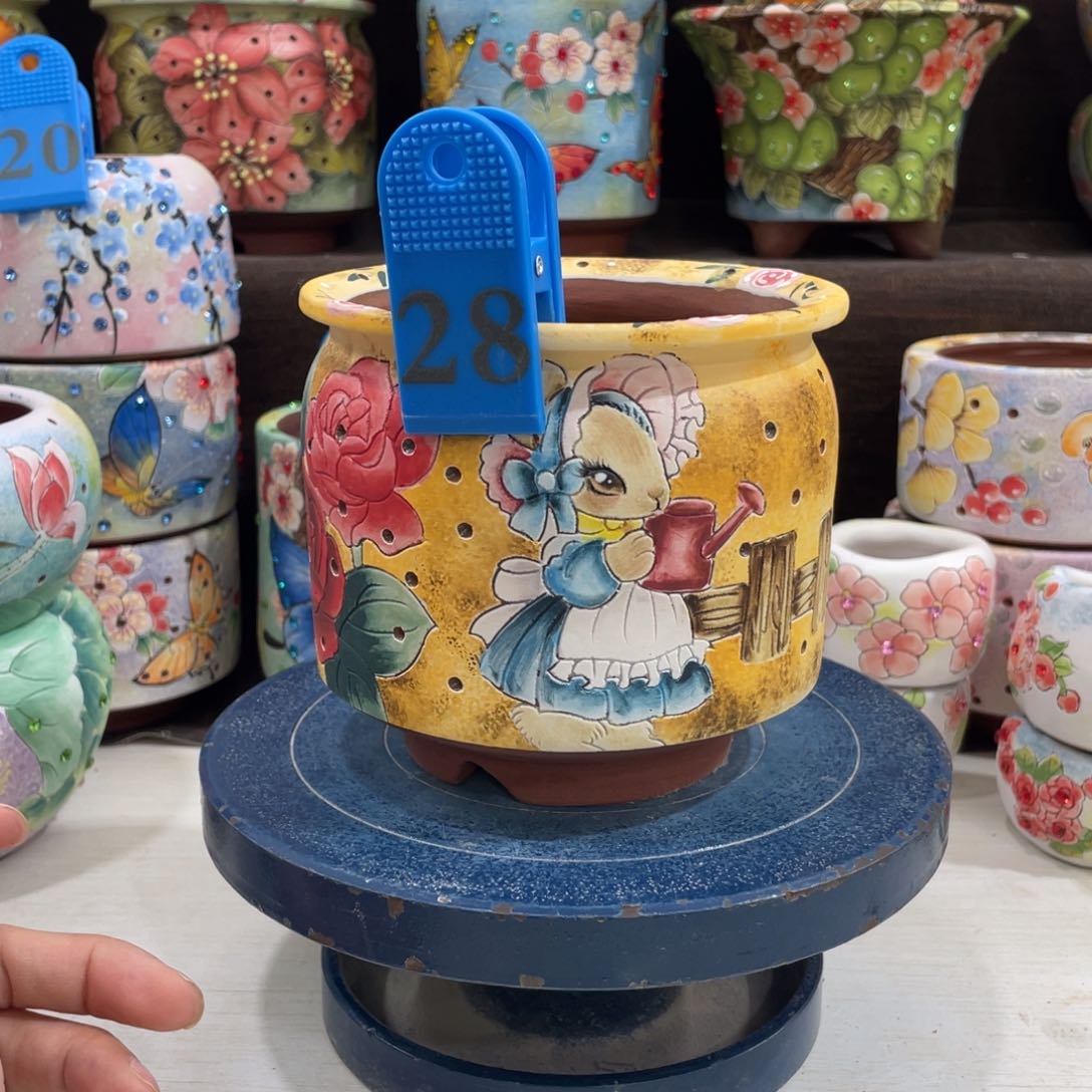 多肉花盆彼得兔花盆