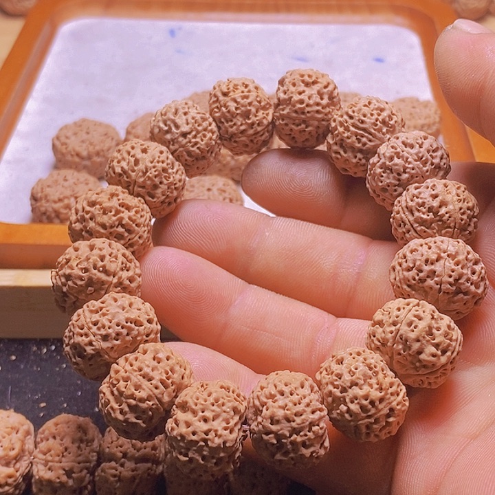 手串金刚菩提今日福利