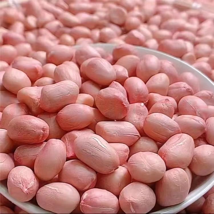 2025年新上市5斤新鲜大颗粒生花生米精选白沙花生米3斤