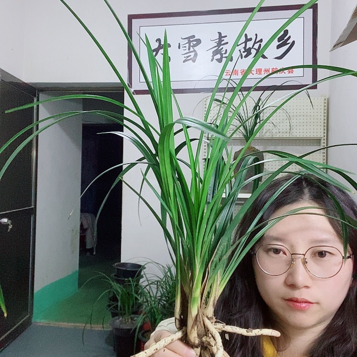 完全开放大大大大大大大大的