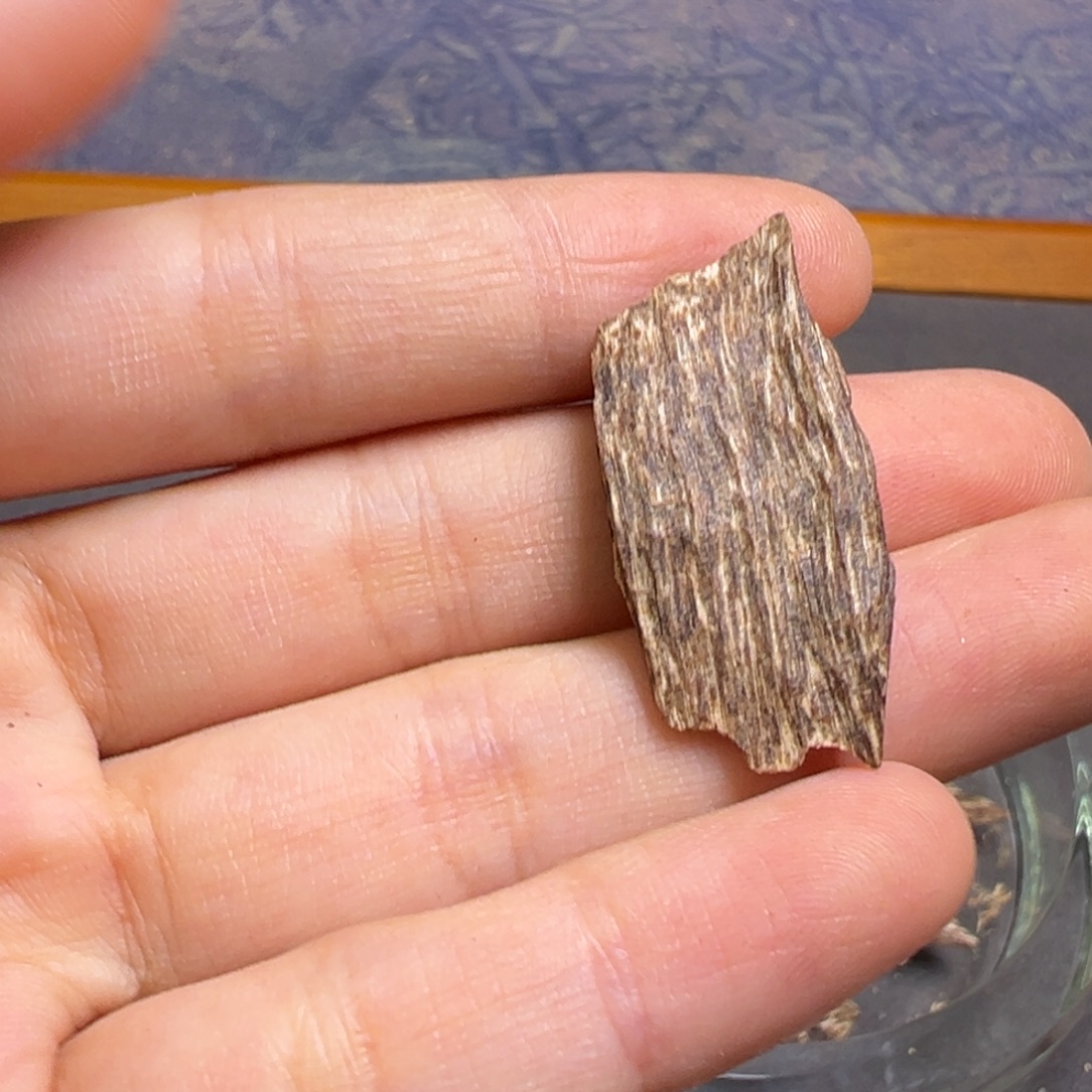 沉香碎屑沉香海南沉水老树心1.1克