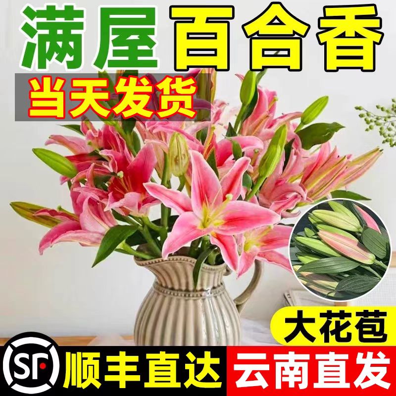 香水百合花鲜花束香水真花水养云南昆明基地直发速递同城批发鲜花