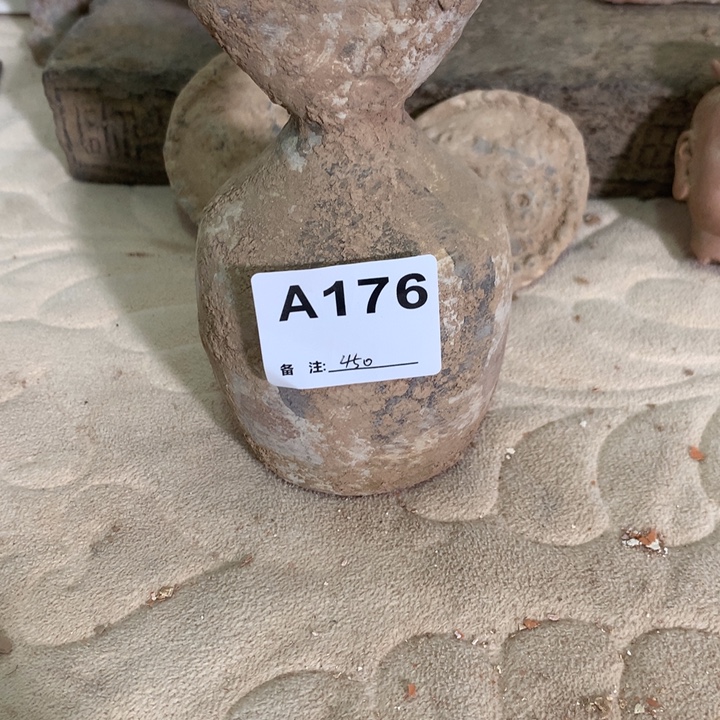 海***滨大叶紫檀（黑酸枝木类）