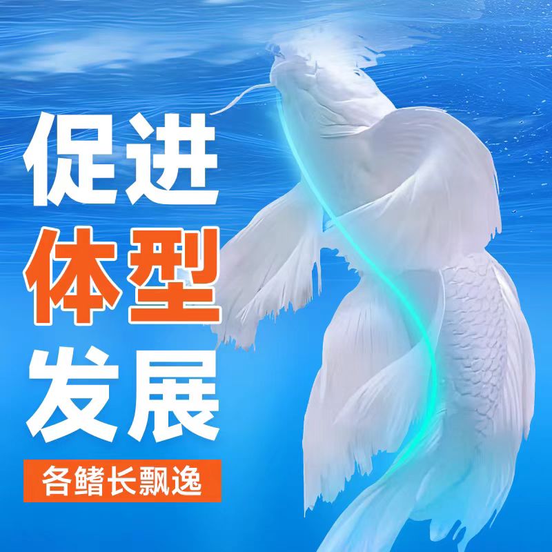 益口蝴蝶鲤鱼粮饲料不浑水上浮型优质营养易消化投喂
