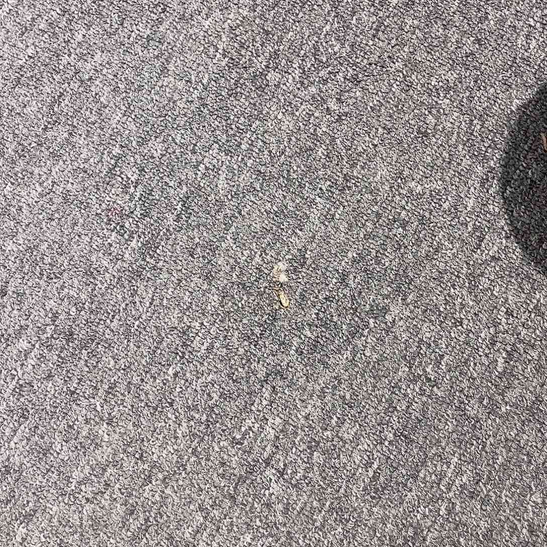 i*e，圆圆的圆圈是一个圆圈的形状和