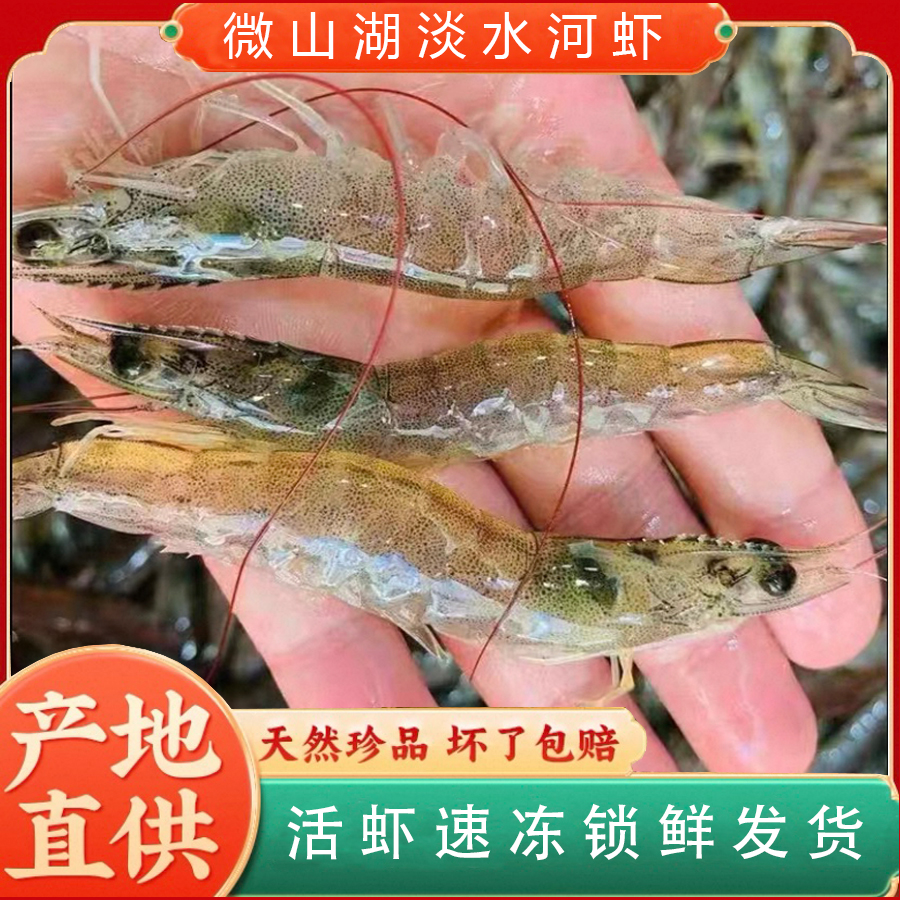【到手6斤】野捕微山湖小河虾活虾急冻含冰锁鲜4-6cm
