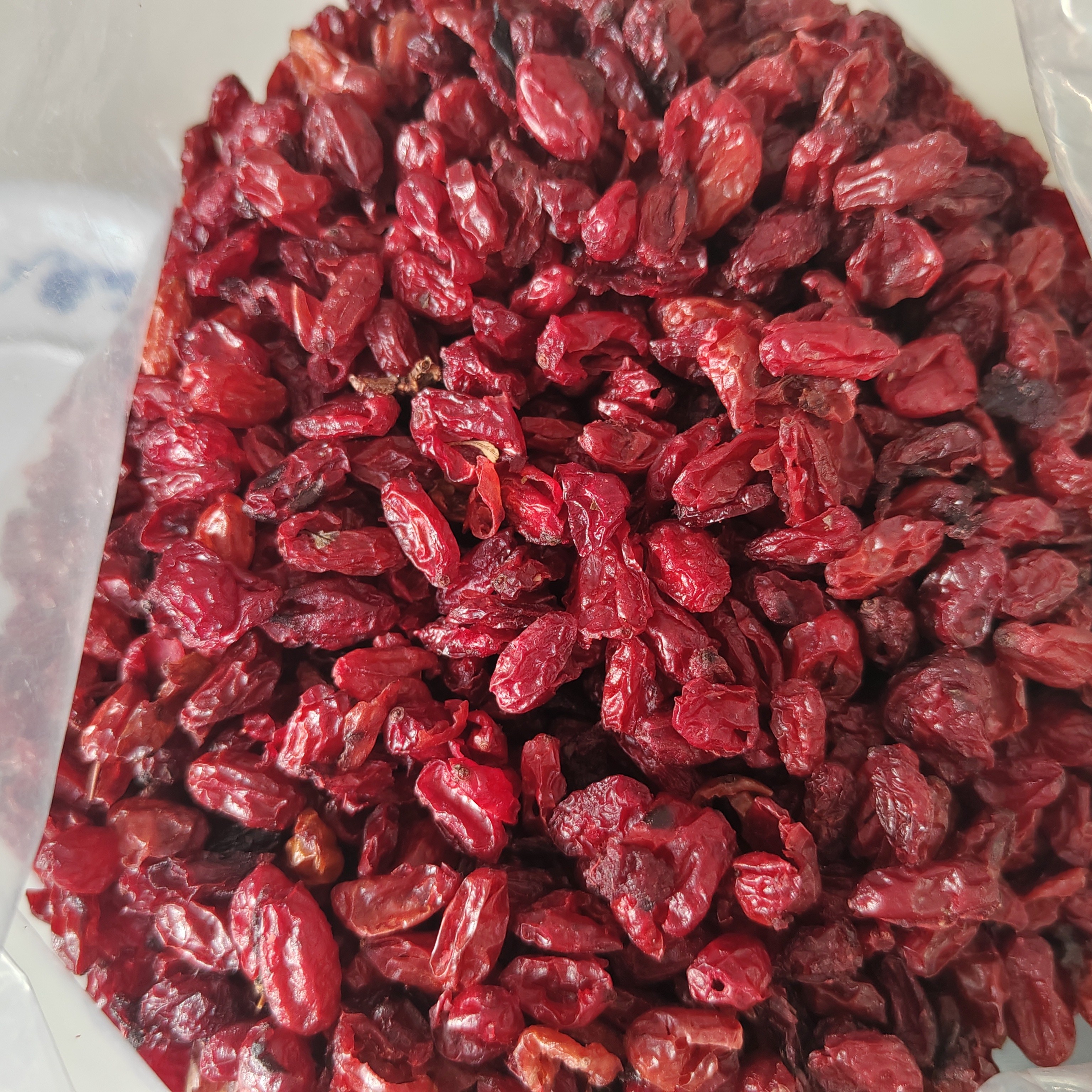 山茱萸—当季新产野外人工采摘