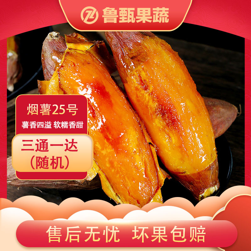 【鲁甄】烟薯25号3/5斤*1箱 单果150g+ 约5-11根