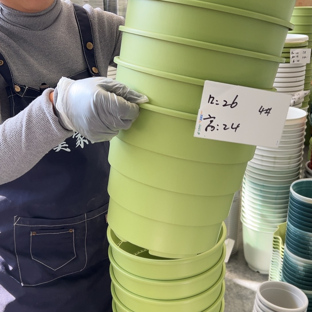 瑕疵多孔4#果绿色5个无托