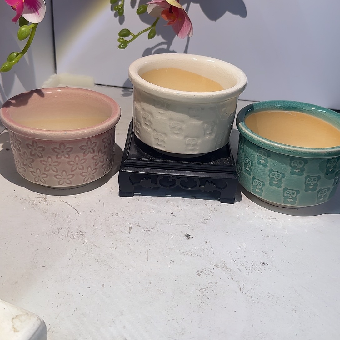 ：送托盘：凑满15元发